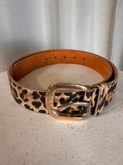 Bälte- Leopard