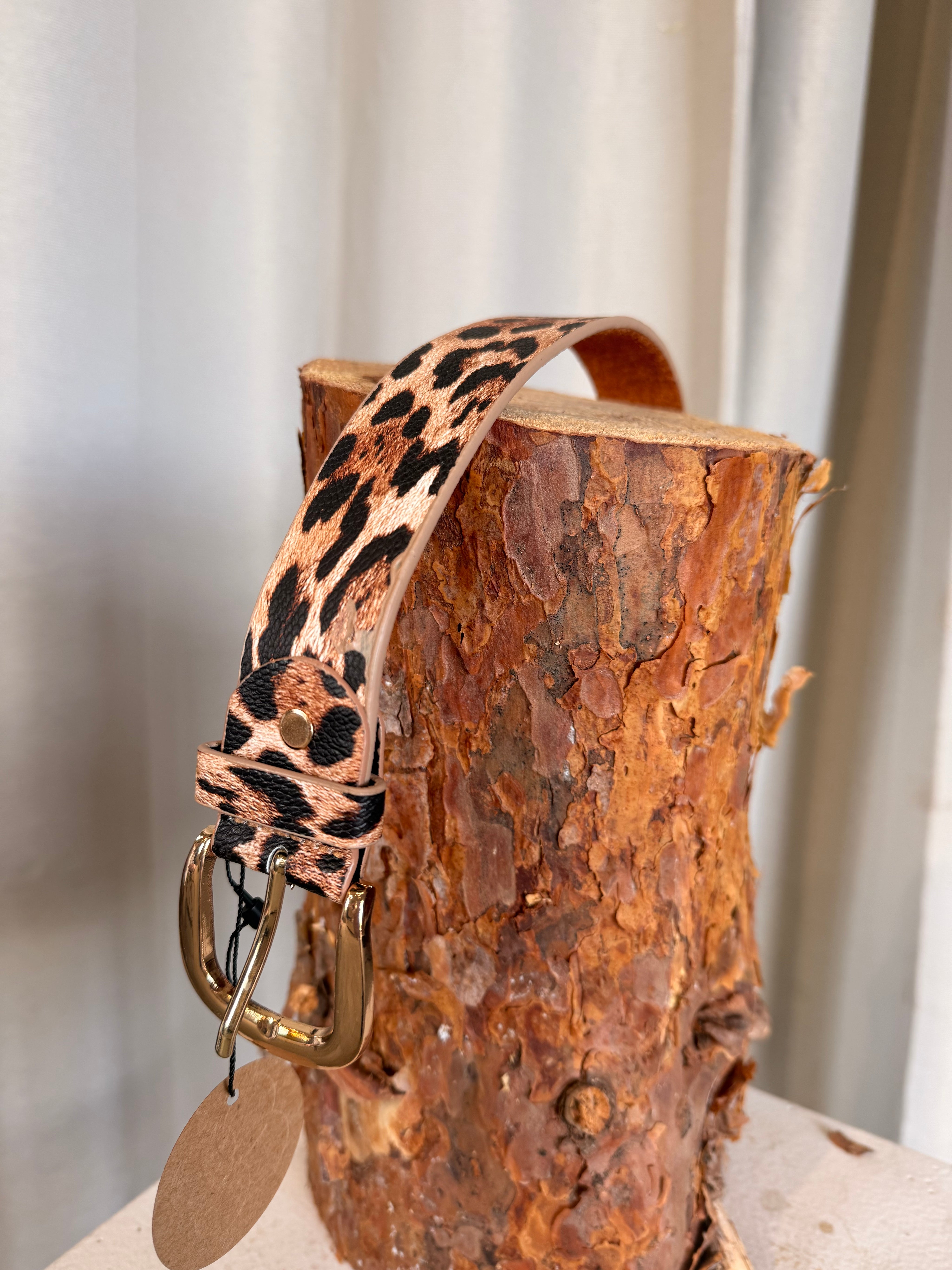 Bälte- Leopard